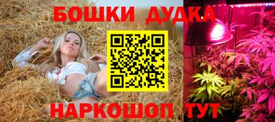 трава Ставрополь